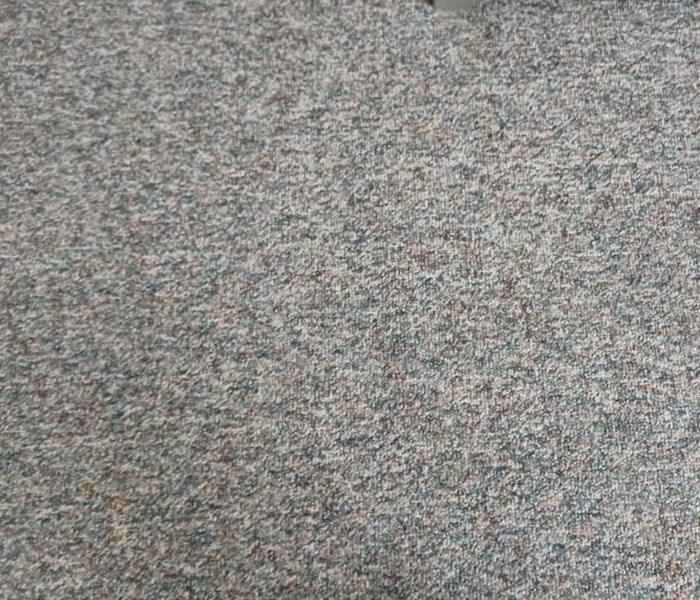 Grey carpet free of all food and traffic stains