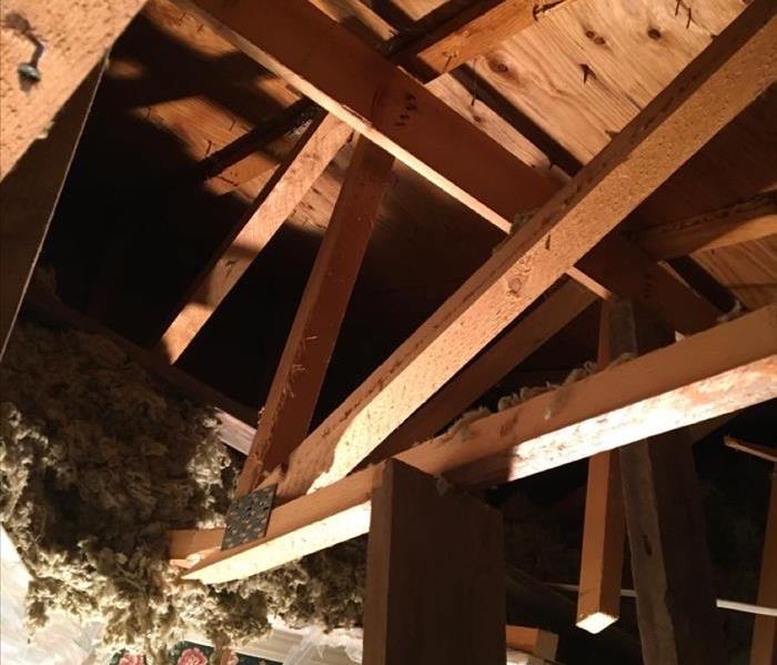 House rafters exposed after tree comes through roof